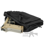 pistol case 22