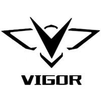VIGOR logo