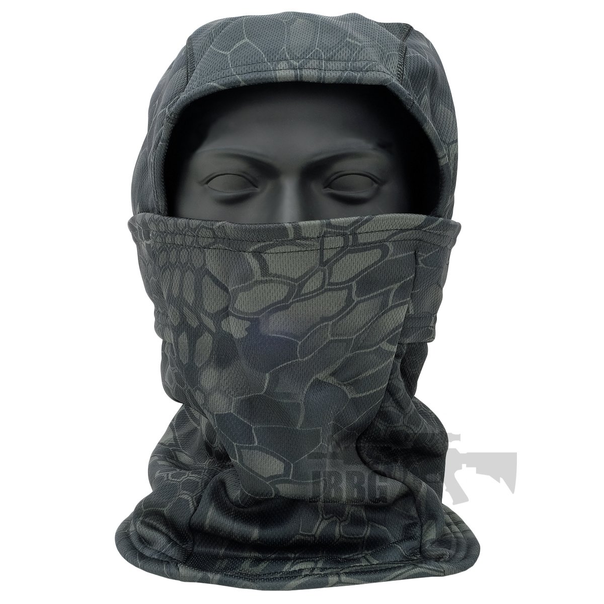 bbcamo2 jbbg jpg