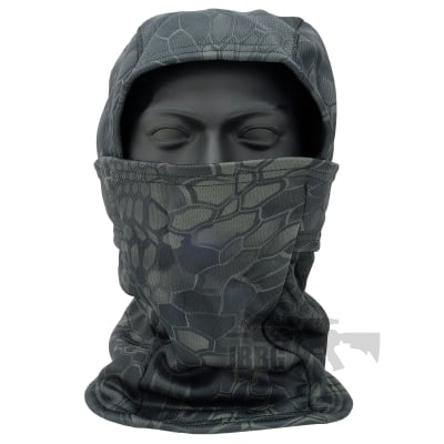 bbcamo2 jbbg jpg